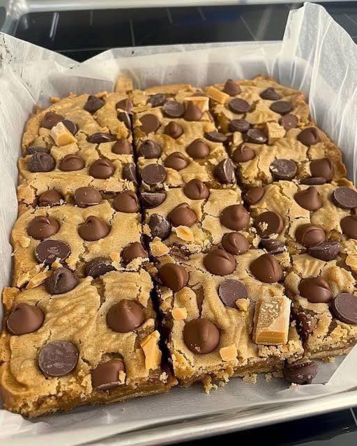 Peanut Butter Chocolate Chip Cookie Bars