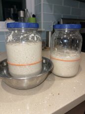 Warm Water Bath for Sourdough Starter: An Easy Way to Encourage Faster Rising