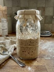 Sourdough Starter Recipe